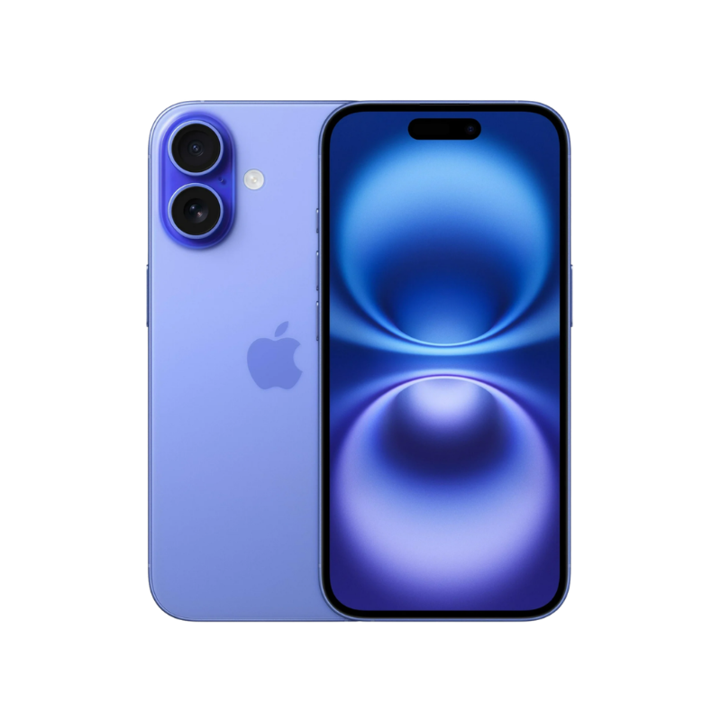 16 purple